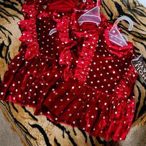 Pet Dress Velvet Dog or Cat Maroon and Silver xs sm med ea.